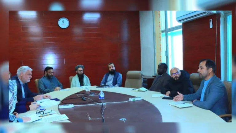 وزارت صحت عامه حکومت طالبان اعلام کرد که اتحادیه اروپا ۱۷۰ میلیون دالر را برای حمایت از سکتور صحت افغانستان اختصاص می‌دهد.