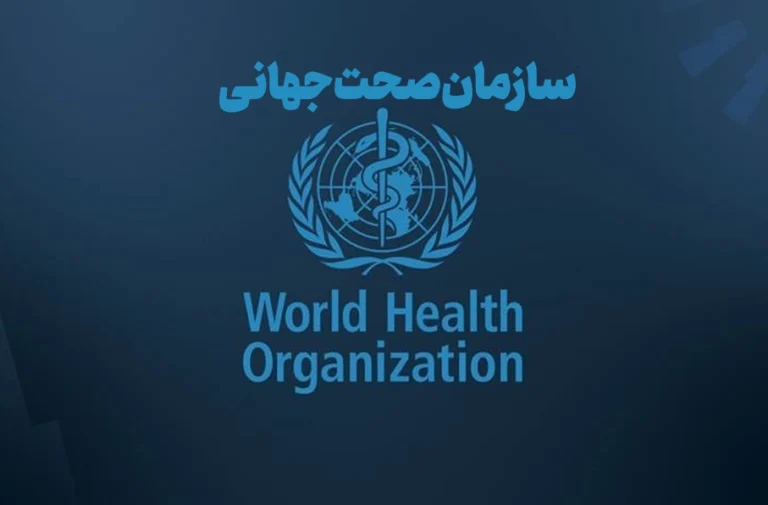 صفحه اول