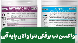 طالبان خواستار کمک روسیه برای تولید واکسین بیماری تب برفکی شد