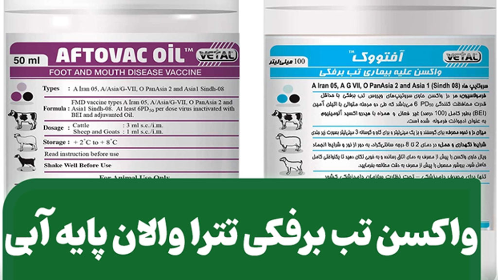 طالبان خواستار کمک روسیه برای تولید واکسین بیماری تب برفکی شد