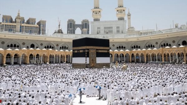 بیش از 1.7 میلیون زائر در مناسک حج امسال شرکت کردند
