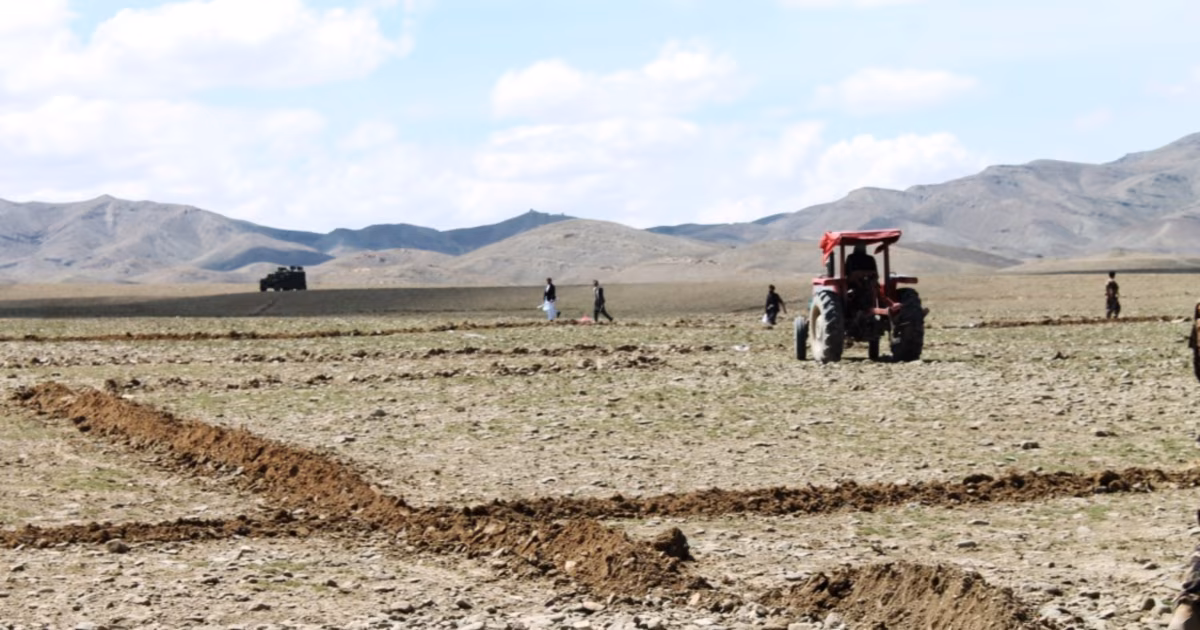 طالبان از توزیع زمین برای برخی مهاجران برگشتی خبر داد