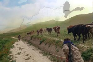 طالبان دستور تخلیه شهرک معلمین در ولسوالی اشکاشم بدخشان را صادر کرد