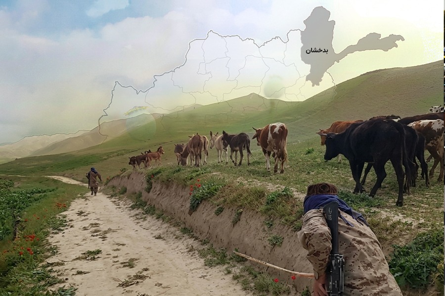 طالبان دستور تخلیه شهرک معلمین در ولسوالی اشکاشم بدخشان را صادر کرد