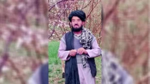 منابع محلی در ولایت غور از کشته شدن سراج‌الدین، افسر پیشین پولیس و از فرماندهان جهادی سابق، در یک حمله مسلحانه خبر داده‌اند.