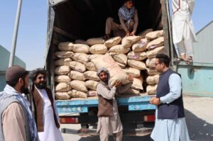 کمک زراعتی ازبیکستان برای تقویت امنیت غذایی افغانستان