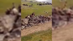 تشدید درگیری میان نیروهای طالبان بر سر علفچر در بدخشان