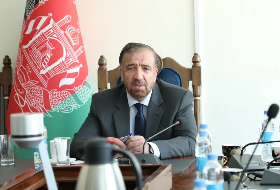 وزیر عدلیه پیشین: کشتن متهمان در کابل «محاکمه صحرایی» است