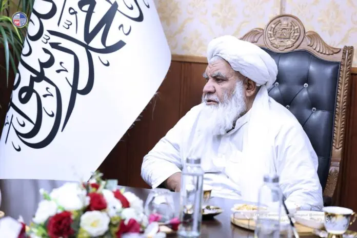نورالدین ترابی: جهان برای به‌رسمیت‌نشناختن طالبان دنبال بهانه است