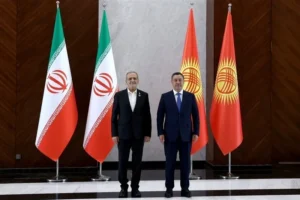 پرشکیان: امنیت منطقه‌ای در گرو همکاری کشورهای منطقه و نفی مداخله بیگانگان است