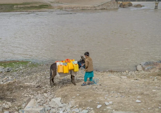 همکاری یونیسف و کوریای جنوبی برای تأمین آب سالم کودکان افغانستان