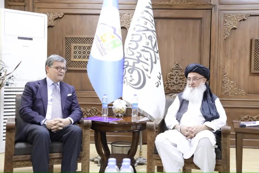 طالبان خواهان افزایش سرمایه‌گذاری اتحادیه اروپا در افغانستان ش