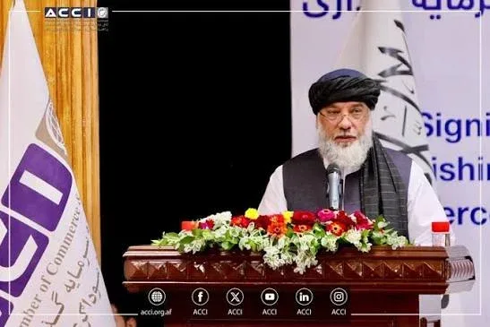 طالبان خواستار رهاسازی دارایی‌های منجمدشده افغانستان شد
