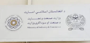 تعهد طالبان بر ایجاد ۵۵۰ هزار شغل در افغانستان
