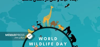 روز جهانی حیات وحش؛ گوترش: یک‌ میلیون گونه حیوانی در آستانه انقراض قرار دارند