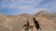 کمک ۱۶.۶ میلیون دالری سازمان ملل برای کاهش اثرات خشک‌سالی در شمال افغانستان