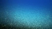جاپان از کشف دستکم ۲۰۰ میلیون تن سنگ و فلزات کمیاب معدنی در اعماق دریا خبر داد