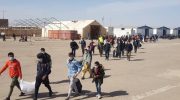 ۳۷۸ خانواده افغان روز گذشته از پاکستان و ایران به کشور برگشتند