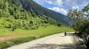 دو تن در تیراندازی افراد ناشناس در نورستان کشته شدند