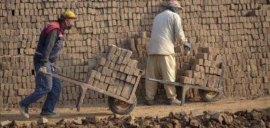 شناسایی حدود ۸۰ مهاجر غیرمجاز در ولایت اردبیل ایران