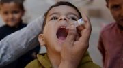 Polio Polio