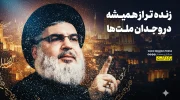 hassan nasrolla