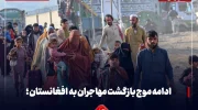 ادامه موج بازگشت مهاجران افغان از پاکستان؛ صدها خانواده در یک روز به کشور بازگشتند