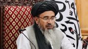 haqani