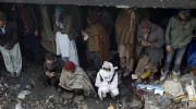 سازمان جهانی صحت: بیش از چهار میلیون نفر در افغانستان از اختلالات مصرف مواد مخدر رنج می‌برند