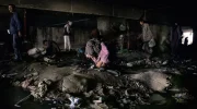 سازمان صحی جهان: دستکم 10 درصد جمعیت افغانستان از اختلالات مصرف مواد مخدر رنج می‌برند