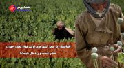 افغانستان-و-مواد-مخدر-768x432