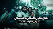 انتقال طالبان پاکستانی به افغانستان، نگرانی ها و تبعات