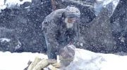 اوچا: برای نجات جان میلیون‌ها افغان در زمستان پیش‌رو به ۶۰۳.۵ میلیون دالر نیاز داریم