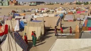 اوچا و کمک های بشردوستانه به افغانستان