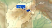 یک زن در پروان به زندگی خودش پایان داد