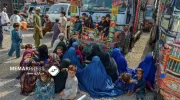 وزارت مهاجرین از بازگشت بیش از ۶ هزار مهاجر در روز گذشته از پاکستان