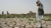 بانک جهانی خواستار راهکارهای بلندمدت برای مقابله با بحران امنیت غذایی در افغانستان شد