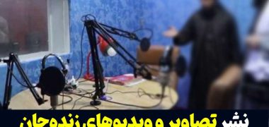 تصاویر-موجودات-زنده