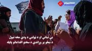 بی_ثباتی-و-توقف-رشد-جامعه،-نتیجه-اقدامات-سختگیرانه-بر-علیه-زنان-696x404