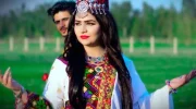 جان باختن یک آوازخوان جوان اهل افغانستان در پاکستان