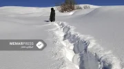 فائو : برای جمع‌شدن برف‌‌ و باران در افغانستان ۸.۳ میلیون گودال حفر شده است