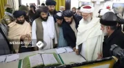 حنفی : حکومت در جهت حفاظت و جلوگیری از قاچاق آثار تاریخی مسوولیت دارد