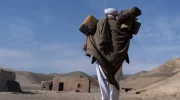 سازمان ملل: خشکسالی باعث بالا رفتن آمار فقر و عدم امنیت غذایی برای مردم افغانستان شده است