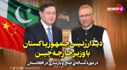 دیدار رئیس جمهور پاکستان با وزیر خارجه چین