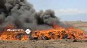 وزارت داخله طالبان از آتش زدن بیش از 3 هزار کیلوگرام مواد مخدر را در زابل خبر داد