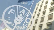 سازمان ملل : ۷۵ درصد جمعیت افغانستان برای تأمین معاش خود به کشاورزی متکی هستند