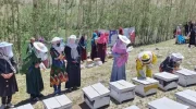 سازمان ملل : تا سال ۲۰۲۶ برای ۲۰۰ هزار خانواده در افغانستان امکانات معیشتی فراهم می‌شود