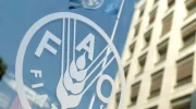 سازمان ملل از ایجاد ۲۰۰۰ گلخانه هوشمند در افغانستان خبر داد