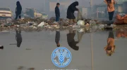 هشدار فائو: بحران چندلایه خشک‌سالی در افغانستان ناامنی غذایی را تشدید کرده است