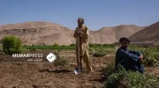 فائو برای ۴.۲ میلیون دهقان در افغانستان بذر گندم و کود توزیع می‌کند